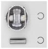 AUTOWELT PN51230 Поршень STD