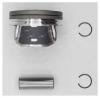AUTOWELT PN51230 Поршень STD