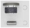 AUTOWELT PN52200 PN-52200 поршень STD MERCEDES 3.2/4.3 M112/113 PN52200