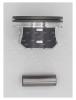 AUTOWELT PN53141 Поршень двигателя