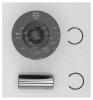 AUTOWELT PN54080 поршень FORD 2.2TDCi 110/130 л.с.  86.00mm
