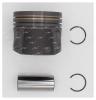 AUTOWELT PN54080 поршень FORD 2.2TDCi 110/130 л.с.  86.00mm