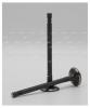 AUTOWELT VE32034 VE-32034 клапан вып HYUNDAI D4CB CRDi 28x7x110.5 VE32034