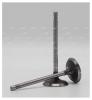 AUTOWELT VI51027 Клапан впуск vag cbza/cbzb/cbzc 35.5x6x98.7