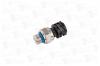 TE PARTS 12502899 Датчик давления Volvo FH13, RVI Magnum/Premium DXI