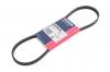 MARSHALL M6310426 Ремень поликлиновой 4PK869E BMW X5 07-, Kia Carnival 99-, Picanto 04-, Toyota Camry 96- (M6310426)