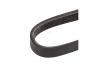 MARSHALL M6310426 Ремень поликлиновой 4PK869E BMW X5 07-, Kia Carnival 99-, Picanto 04-, Toyota Camry 96- (M6310426)