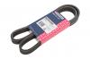 MARSHALL M6310442 Ремень поликлиновой 8DPK1355 Land Rover Range Rover 02-, Range Rover Sport 05- (M6310442)