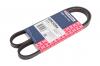 MARSHALL M6310461 Ремень поликлиновой 4PK1054 Chery Tiggo T11 05-, Honda Accord VI 97-, Kia Carens II 02- (M6310461)