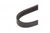 MARSHALL M6310461 Ремень поликлиновой 4PK1054 Chery Tiggo T11 05-, Honda Accord VI 97-, Kia Carens II 02- (M6310461)