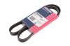 MARSHALL M6310463 Ремень поликлиновой 5PK1080 Mitsubishi Lancer VII 95-, Toyota Corolla 92-, Volvo S40 I 01-, V40 01-