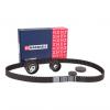 MARSHALL M6330036 Комплект ГРМ Renault Duster 12-, Kaptur 16-, Megane III 08-; Nissan Terrano 14- Marshall