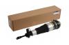 MARSHALL M8011102 M8011102_пневмоамортизатор передн. прав.!\ Audi A6/S6 C6 05-11