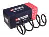 MARSHALL M8031070 M8031070_Пружина подвески передн. Nissan Qashqai II 13-, Renault Kadjar 15- (M8031070)