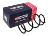 MARSHALL M8031110 M8031110_Пружина подвески передн. Nissan Juke (F15) 10- (M8031110)