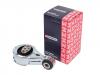 MARSHALL M8080305 Опора двигателя Renault Scenic III 09-, Megane III 08-, Grand Scenic III 09- (M8080305)
