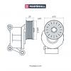 MARSHALL MS9827 Натяжитель прив. ремня Ford C-Max I 07- / Focus II