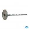 KRAUF WIZ1025GG Клапан впускной