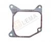 LE.MA. 21250.19 Прокладка коллектора впуск. 6X