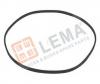 LE.MA. 2627111 Прокладка фильтра карт-х газов CURSOR-13 E-6 LNG (кольцо) 504387088 LEMA 2627111