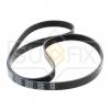 SUFIX FB3193 Ремень поликлиновый 6PK1613