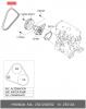 HYUNDAI / KIA (MOBIS) 2521202552 Ремень генератора
