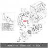 HYUNDAI / KIA (MOBIS) 252864A030 Ролик приводного ремня Hyundai H-1 Kia Sorento