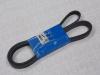 SKF VKMV6PK2137 Поликлиновой ремень