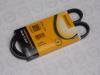 CONTITECH 4PK875 Поликлиновой ремень