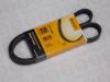 CONTITECH 6PK1038 Поликлиновой ремень