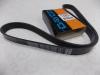 DAYCO 6PK1120HD Поликлиновой ремень