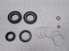 EMMETEC IN 9006 KIT Ремкомплект INFINITY M35/45 2006-2010