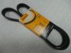 CONTITECH 6PK1310 Поликлиновой ремень