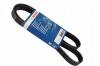 BOSCH 1987946251 Поликлиновой ремень