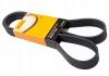 CONTITECH 6PK2065 Поликлиновой ремень