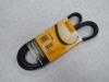 CONTITECH 6PK1555 Поликлиновой ремень