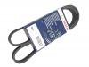 BOSCH 1 987 947 887 Поликлиновой ремень