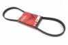 DONGIL 5PK1065 Ремень 5PK1065/60 поликлиновой, гидроусилителя DONGIL/AMD