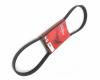 DONGIL 5PK890 Ремень поликлиновой (Корея)