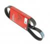 DAYCO 6PK1335 Поликлиновой ремень