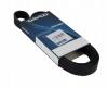DAYCO 6PK2590 Ремень поликлиновой
