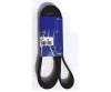 SKF VKMV5PK1219 Поликлиновой ремень