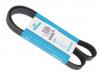 DAYCO 6PK1750 Поликлиновой ремень