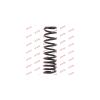 KYB RA6204 Пружина подвески зад. FORD FOCUS 5/11-