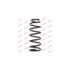 KYB RA6213 Пружина подвески задн KIA SORENTO 06-09