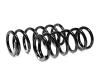 ФОБОС 54816 Пружина FOBOS 54816 /5535026200/ задняя (лифт +25мм) /2шт/ Hyundai Santa Fe Classic 08/2000-