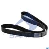 SAMPA 03400801 Ремень поликлиновой 8PK1115