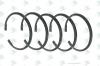 EURORICAMBI 56170539 Кольцо стопорное