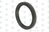 EURORICAMBI 60531388 GASKET