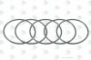 EURORICAMBI 74171335 Кольцо O-RING